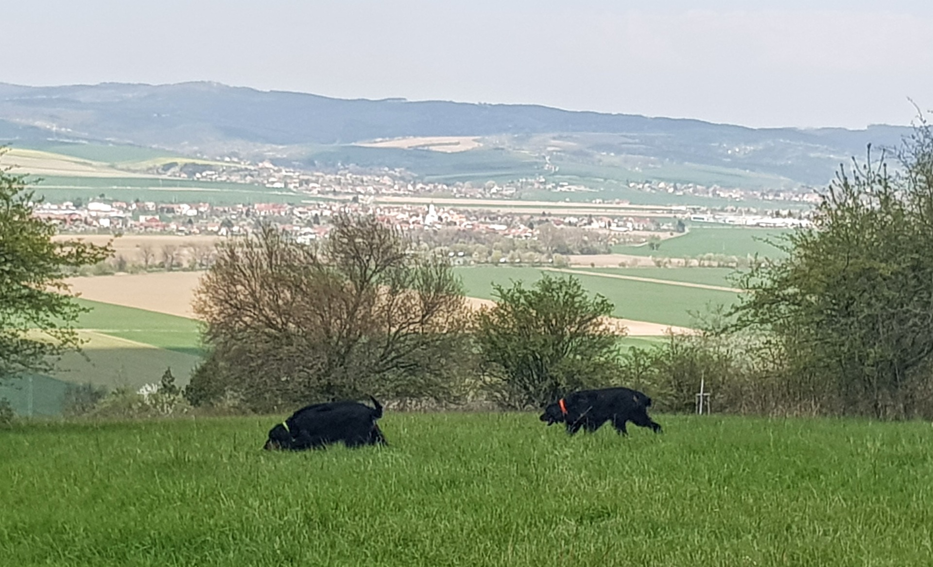 44. den březosti