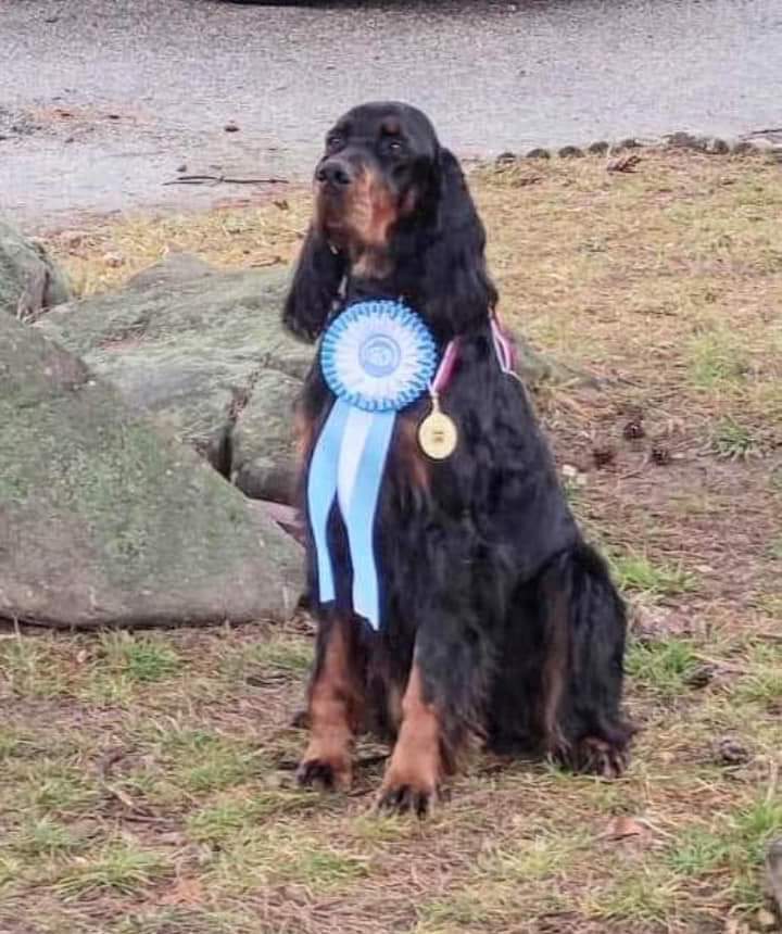 Carrie April je Mezinárodní šampion krásy C.I.B.
