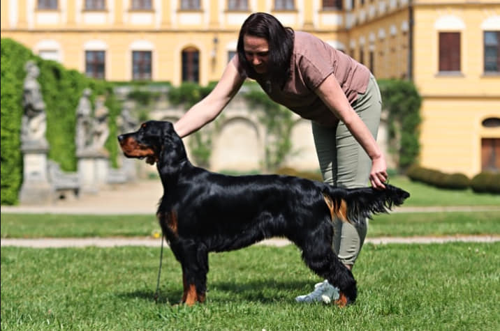 XXVII. Klubová výstava MSKAO, Jaroměřice nad Rokytnou