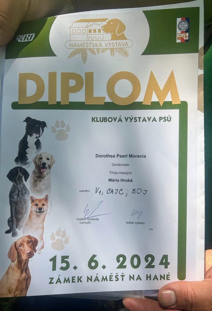 Klubová výstava MSKAO, Náměšť na Hané