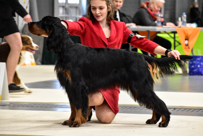 Trio CACIB Praha