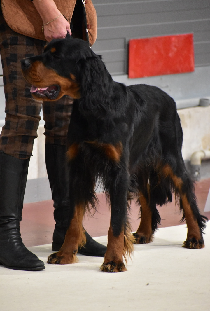 Trio CACIB Praha