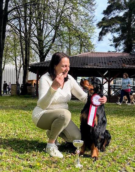 MVP České Budějovice