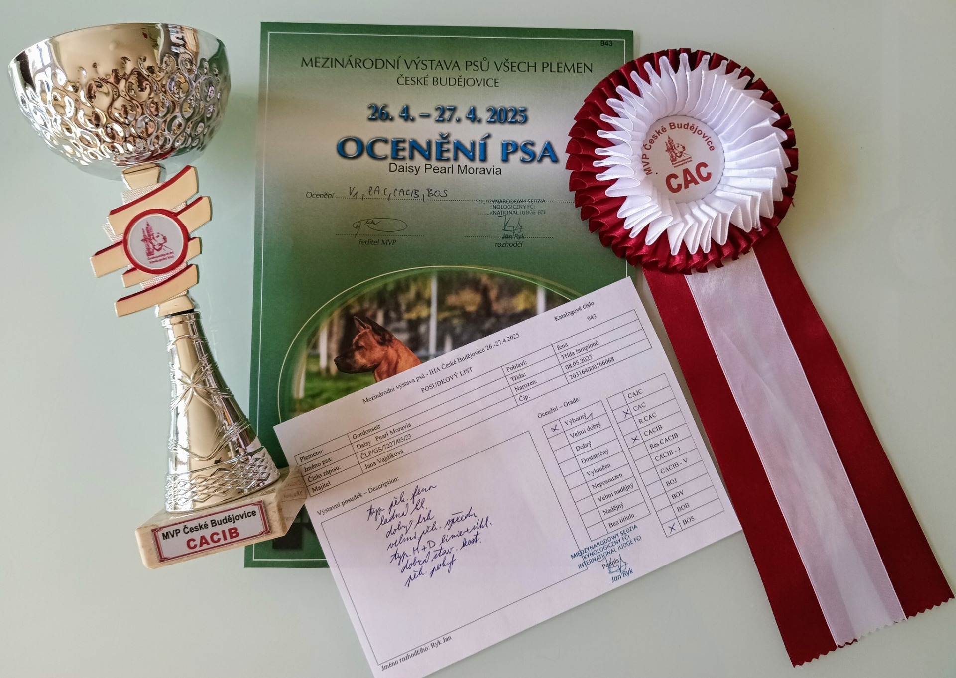 MVP České Budějovice