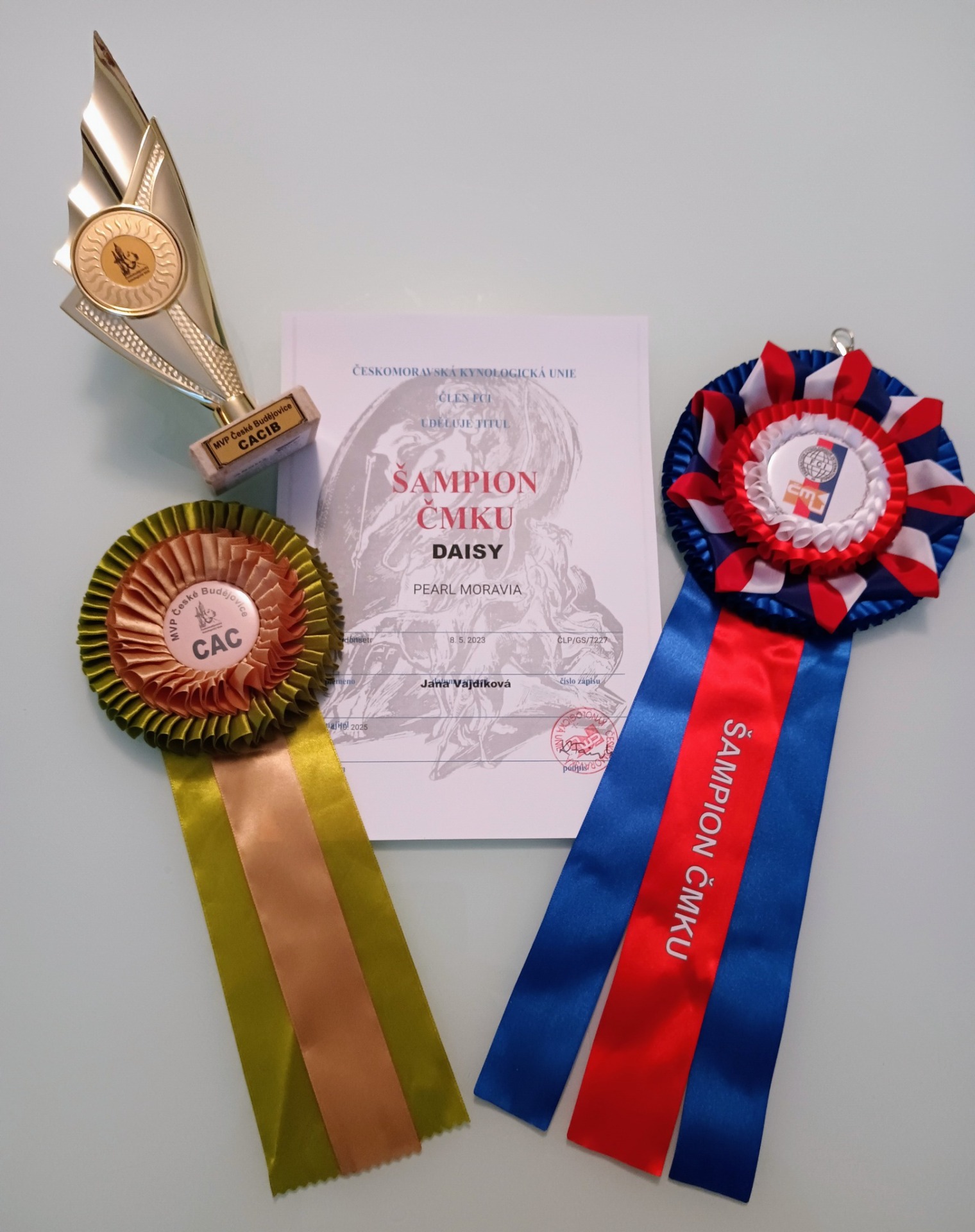MVP České Budějovice