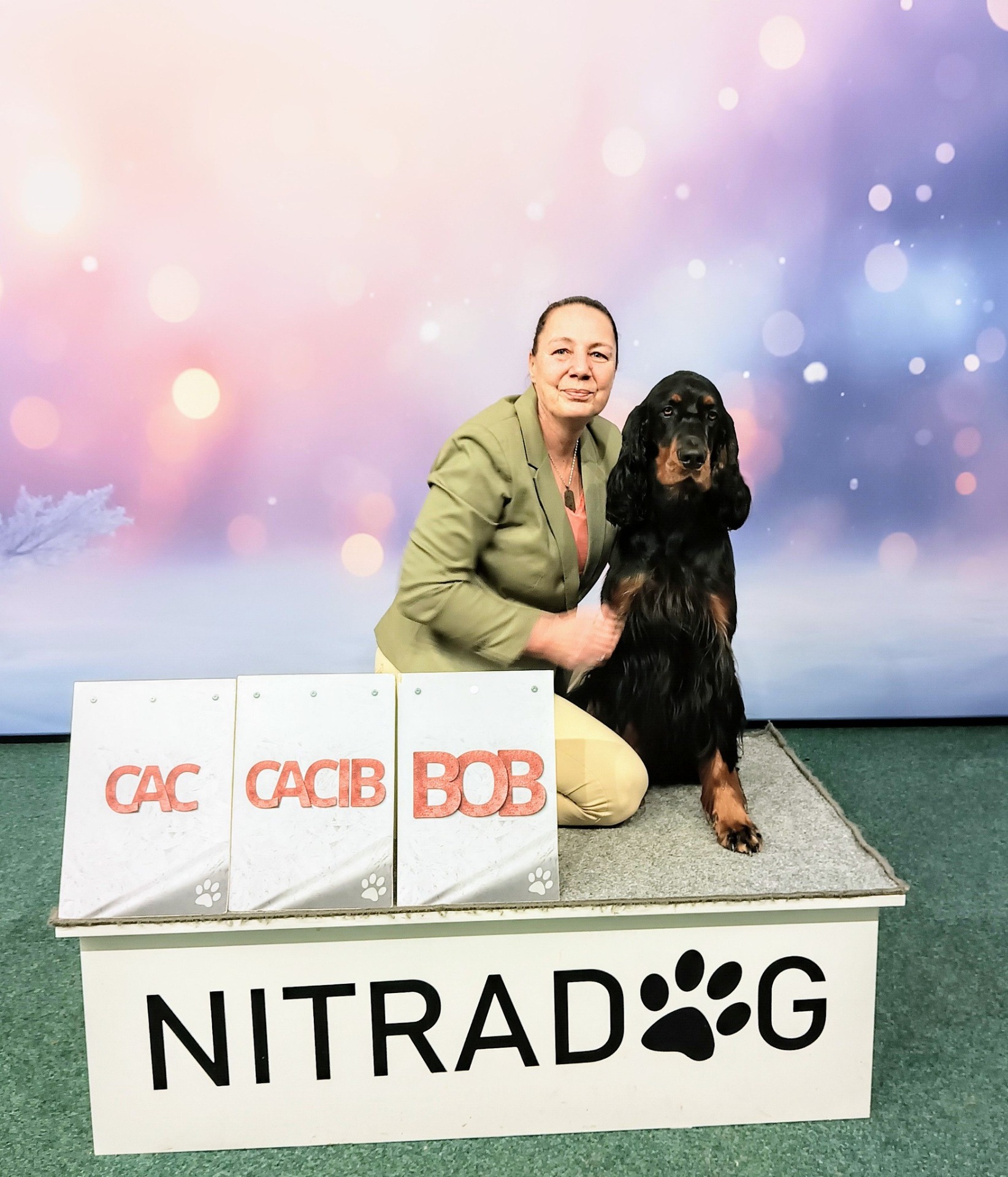 Nitradog Christmas Cup