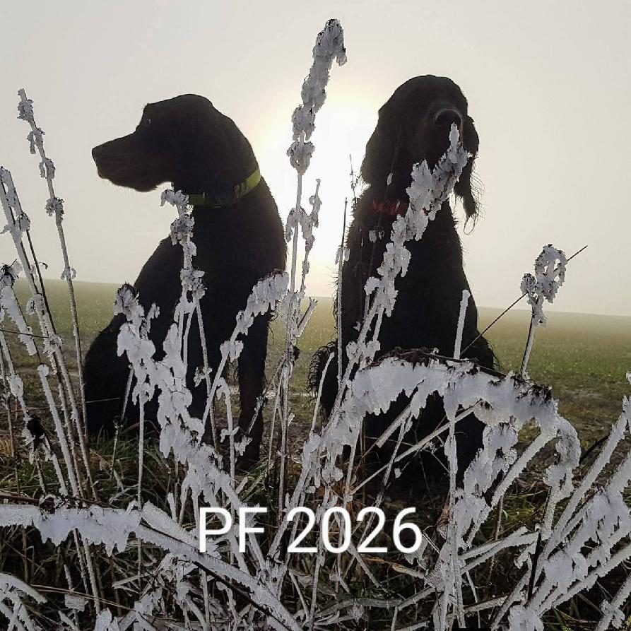Šťastný nový rok 2026