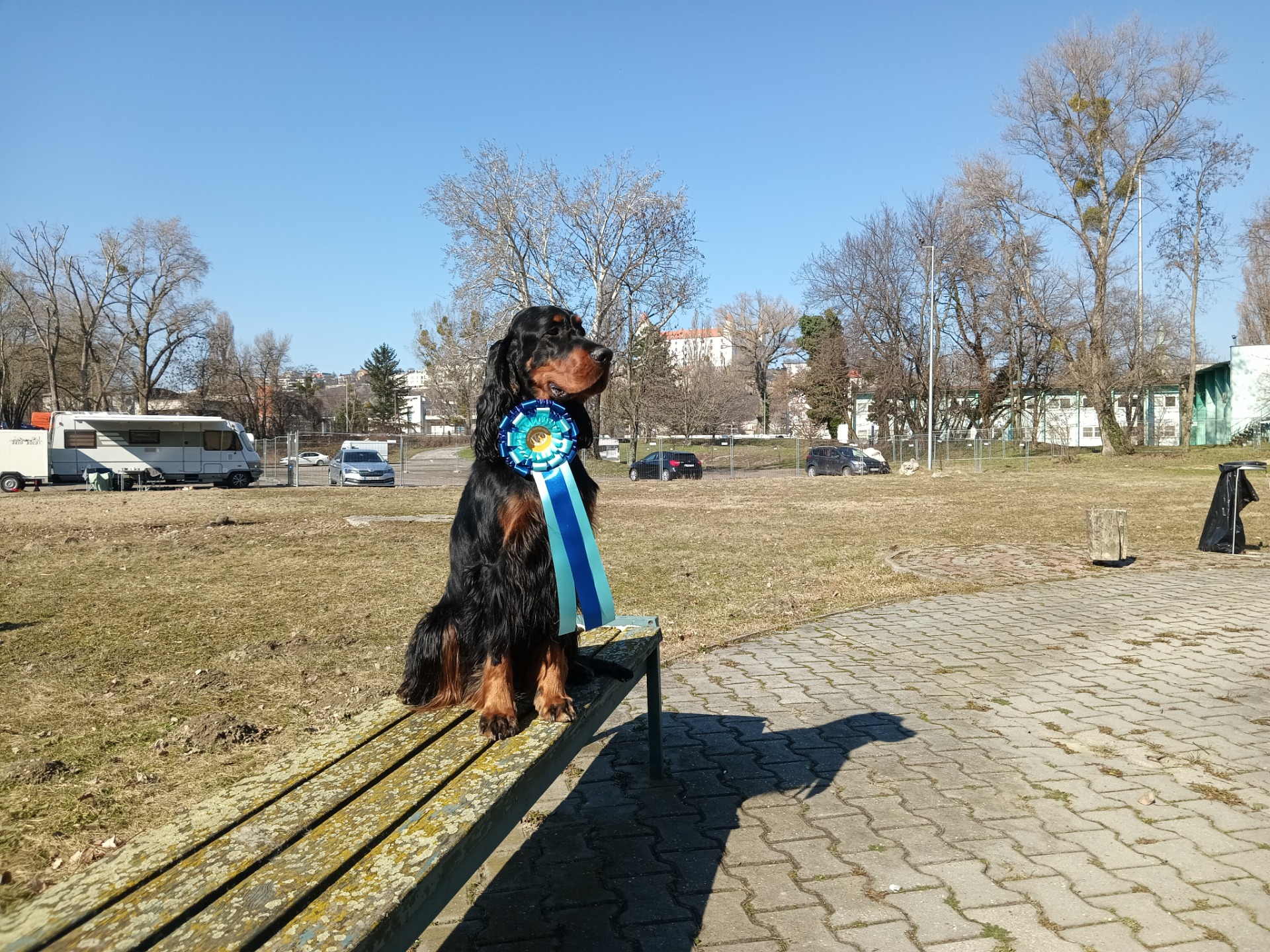 Winterdanube CACIB Bratislava